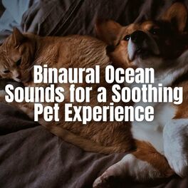Album cover of Binaural Ocean Sounds for a Soothing Pet Experience