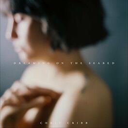Album cover of Dreaming on the Seabed