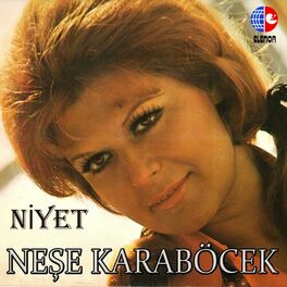 Album cover of Niyet