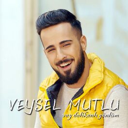 Album cover of Vay Delikanlı Gönlüm