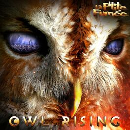 Album cover of Owl Rising