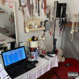 Album cover of Pokoes Die De Lappie Crash Hebben Overleefd