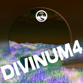 Album cover of Divinum 4