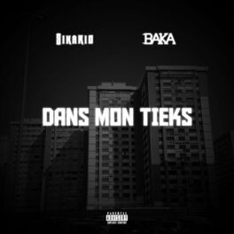 Album cover of Dans mon tieks (feat. Baka)