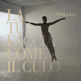 Album cover of La tua faccia come il culo