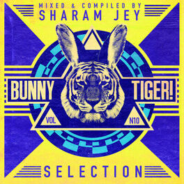 Album cover of Bunny Tiger Selection, Vol. 10