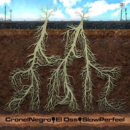 Album cover of La Raiz (feat. El Oss, Cronelnegro & Nico Bustamante)