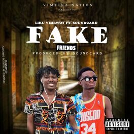 Album cover of Fake Friends (feat. Soundcard)