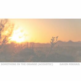 Album cover of Something In The Orange (Acoustic)