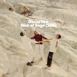 Album cover of S.O.S (Stick of Sage)