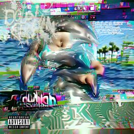 Album cover of Dolphin Cum