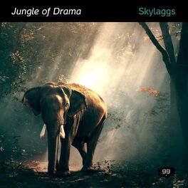 Album cover of Jungle of Drama