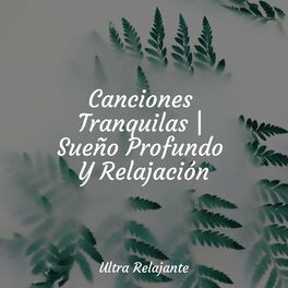 Album cover of Melodías Calmantes | Relajación Y Descanso