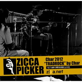 Album cover of ZICCA PICKER 2012 vol.18 [Nagano]