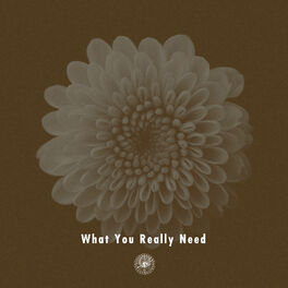 Album cover of What You Really Need (feat. Miraa May)