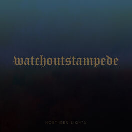 Album cover of Northern Lights