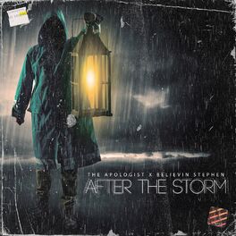 Album cover of After the Storm