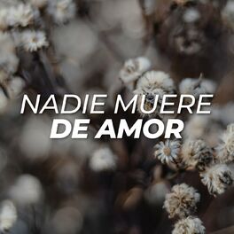 Album cover of Nadie muere de amor