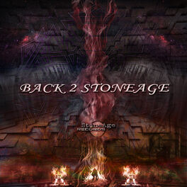 Album cover of Back 2 Stoneage
