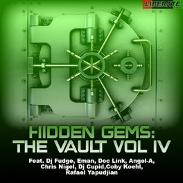 Album cover of Hidden Gems: The Vault Vol IV
