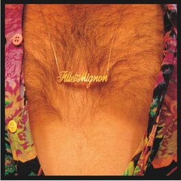 Album cover of Fillet Mignon