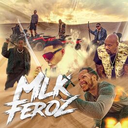 Album cover of Mlk Feroz