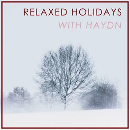 Album cover of Relaxed Holidays with Haydn