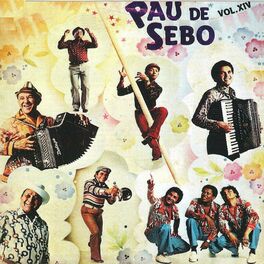 Album cover of Pau de Sebo, Vol. XIV