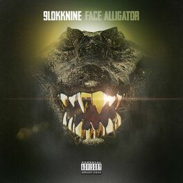 Album cover of Face Alligator
