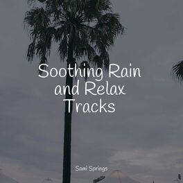 Album cover of Soothing Rain and Relax Tracks