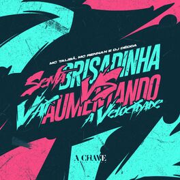 Album cover of Senta Brisadinha VS Vai Aumentando a Velocidade