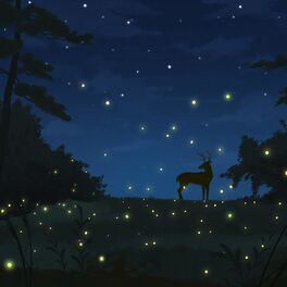 Album cover of Field of Fireflies
