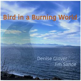 Album cover of Bird in a Burning World