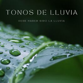 Album cover of Tonos De Lluvia: Debe Haber Sido La Lluvia