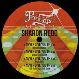 Album cover of Never Give You Up (Michael Gray Remix)