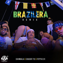 Album cover of Brazilera (Remix)