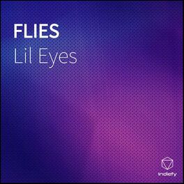 Album cover of Flies