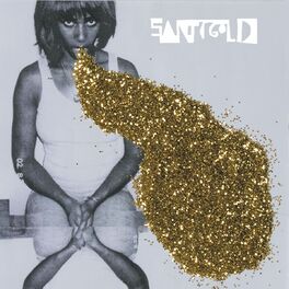 Album cover of Santigold