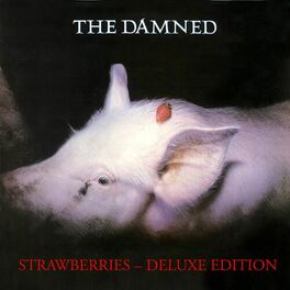 Album cover of Strawberries (Deluxe Edition)