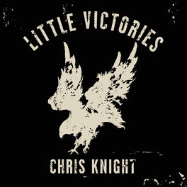 Album cover of Little Victories