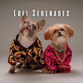 Serenity top dog clothes