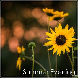 Album cover of Handel: Summer Evening