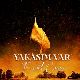 Album cover of Yakasım Var