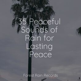 Album cover of 35 Peaceful Sounds of Rain for Lasting Peace