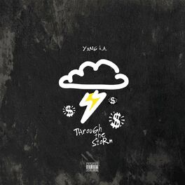 Album cover of Through the Storm