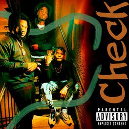 Album cover of Check (feat. Steezy & Laylow)