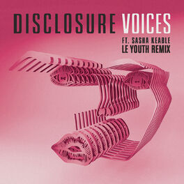 Album cover of Voices (Le Youth Remix)