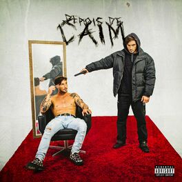 Album cover of DEPOIS DE CAIM