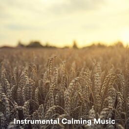Album cover of Instrumental Calming Music