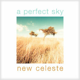 Album cover of A Perfect Sky